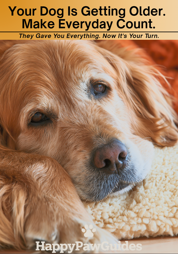 Your Dog Is Getting Older. Make Every Day Count.